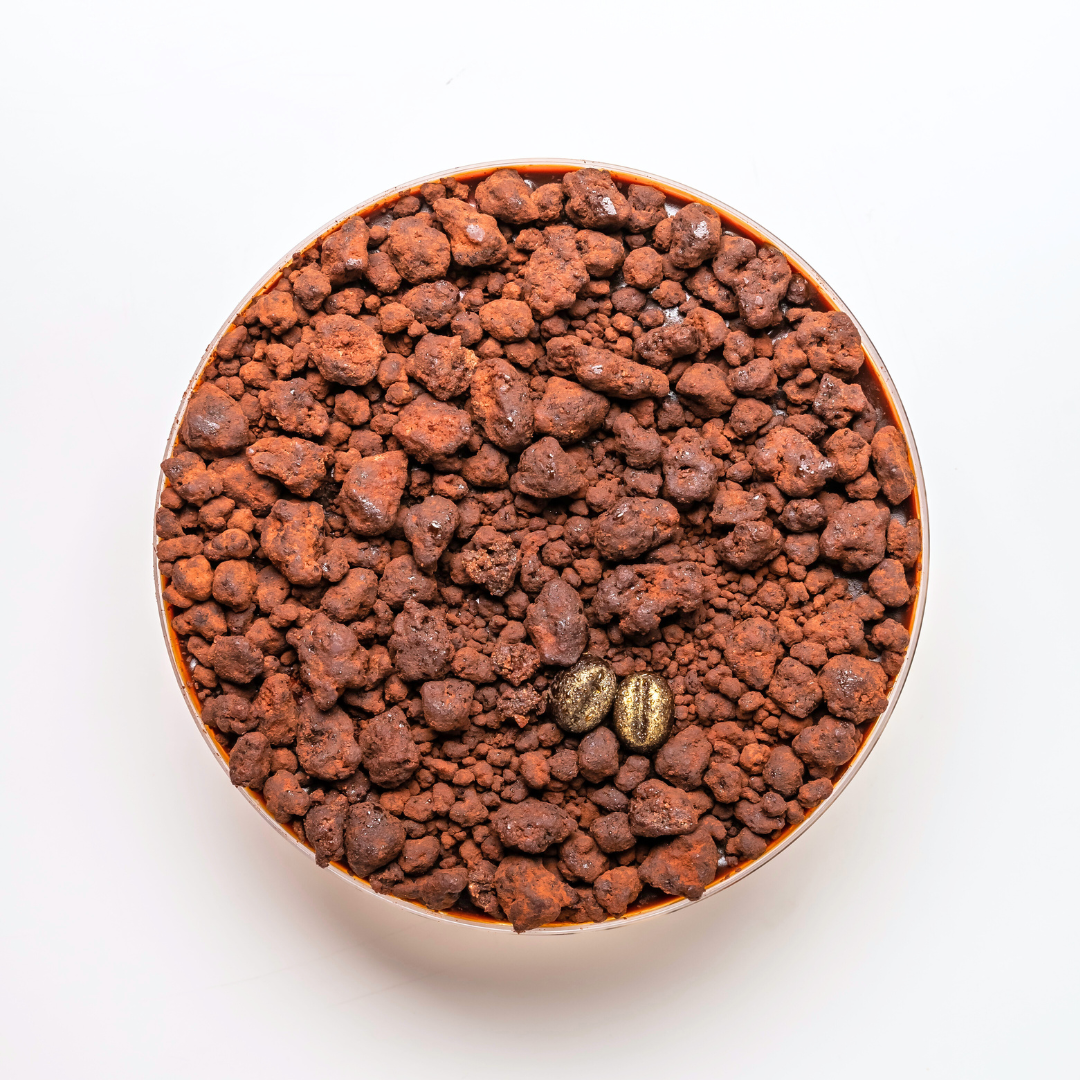 Coffee Tiramisu