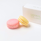 Macarons Box of 2